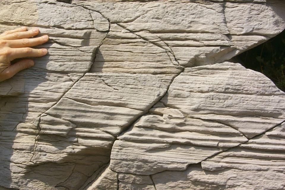 This limestone, from the Salem Formation, can be seen up-close at State Road 37 and South Zikes Road in southern Monroe County. This is the type that's commonly called Indiana Limestone.  