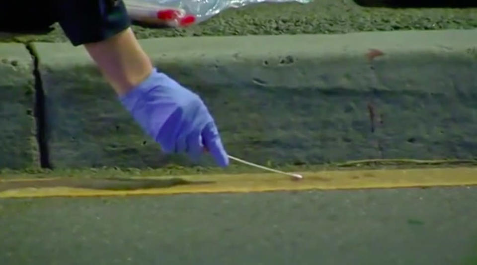 Detectives swab the ground for evidence. Source: 7News
