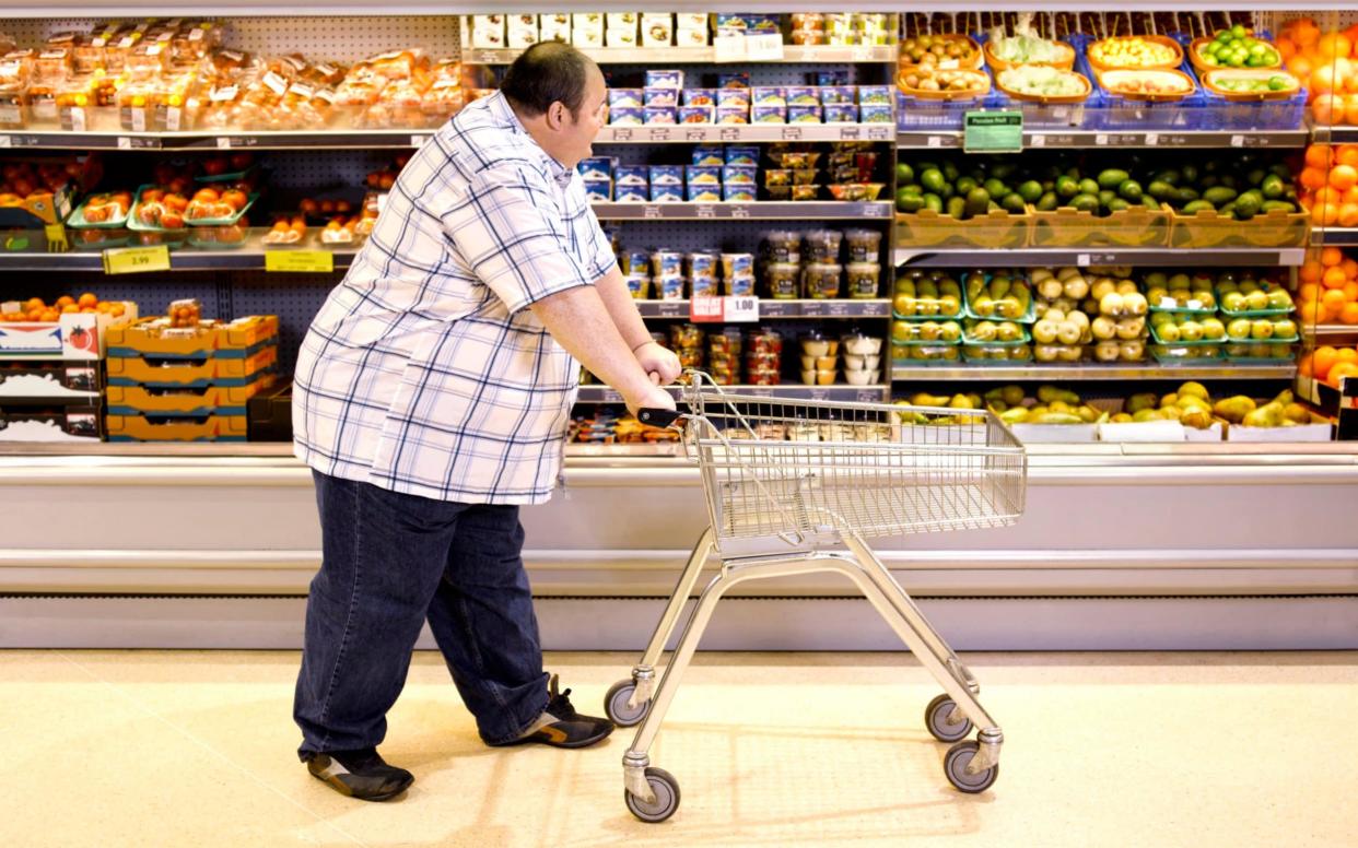 Two in three adults are overweight or obese, with rates of obesity doubling since the 1990s - Peter Dazeley 