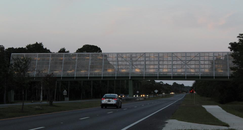 The pedestrian bridge over State Road 100 east of Interstate 95 is scheduled to open this summer.