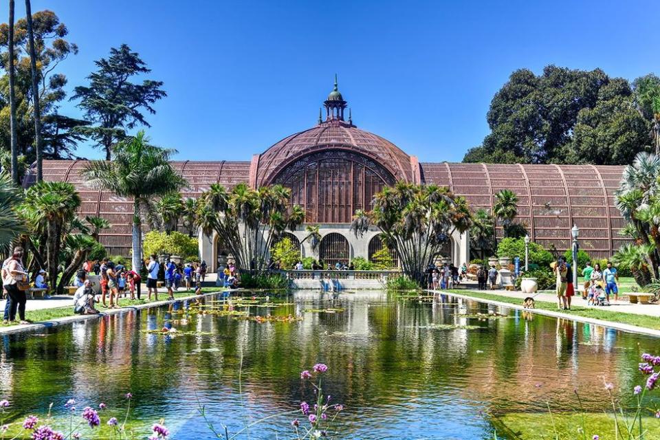 Surf, Sand, & Super Blooms: The Great Southern Californian Road Trip