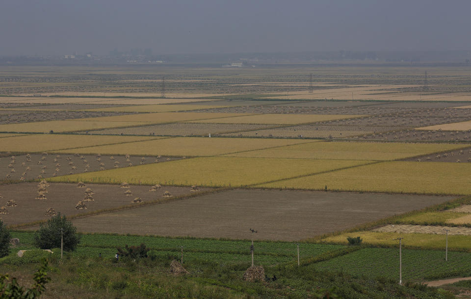 This Sunday, Sept. 23, 2012 photo shows a general view of Migok Cooperative Farm in Sariwon, North Hwanghae Province, North Korea. Farmers would be able to keep a bigger share of their crops under proposed changes aiming to boost production by North Korea's collective farms, which have chronically struggled to provide enough food for the country's 24 million people. (AP Photo/Vincent Yu)