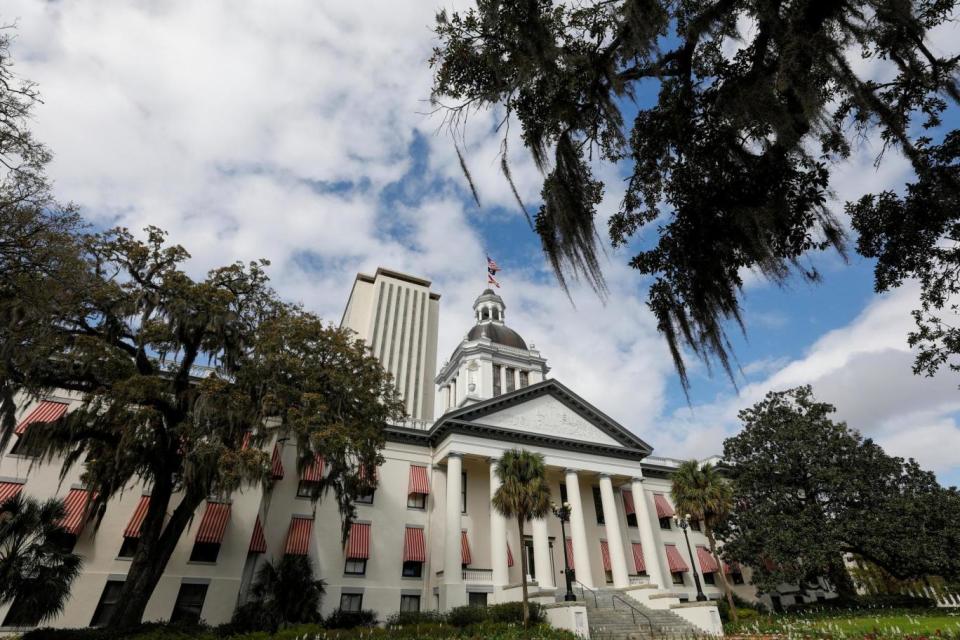 Protest: Florida Capitol where students from Marjory Stoneman Douglas High School will speak with Florida state legislators (REUTERS)