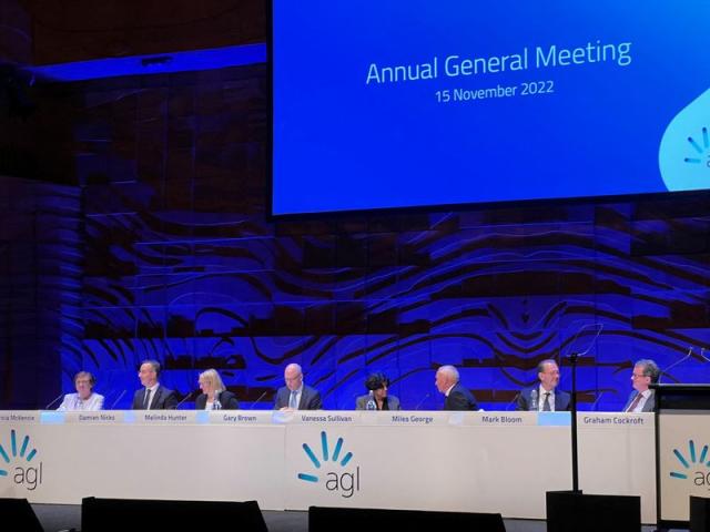 Billionaire climate activist wins board fight at Australia s AGL