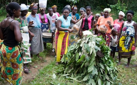 Members of Foday Brima's farming community, on the fringes of the Gola rainforest in Sierra Leone - Credit: &nbsp;Georg Berg