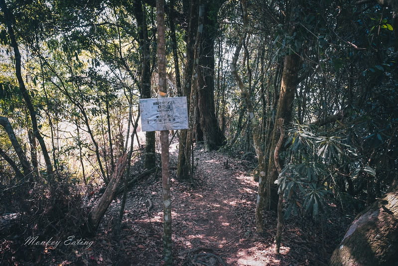 台中｜谷關七雄 白毛山步道