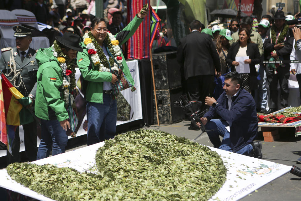 El presidente boliviano, Luis Arce, levanta hojas de coca durante una ceremonia por el Día del Masticado de hoja de coca o "Día del Acullico," en la Plaza Murillo cerca del palacio presidencial en La Paz, Bolivia, el jueves 11 de enero de 2024. (AP Foto/José Lavayen)