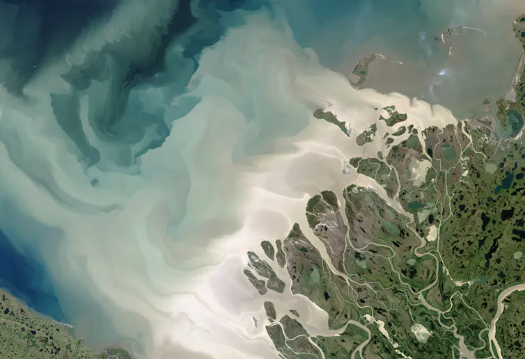 Water from the Mackenzie River, seen from a satellite, carries silt and nutrients from land to the Arctic Ocean. (Photo by Jesse Allen/NASA Earth Observatory)