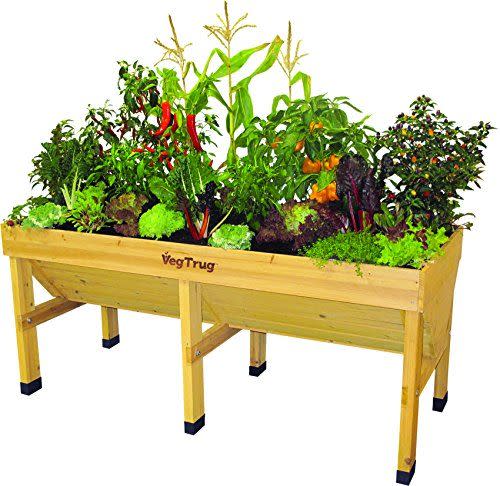 3) VegTrug 1.8 Meter Raised Bed