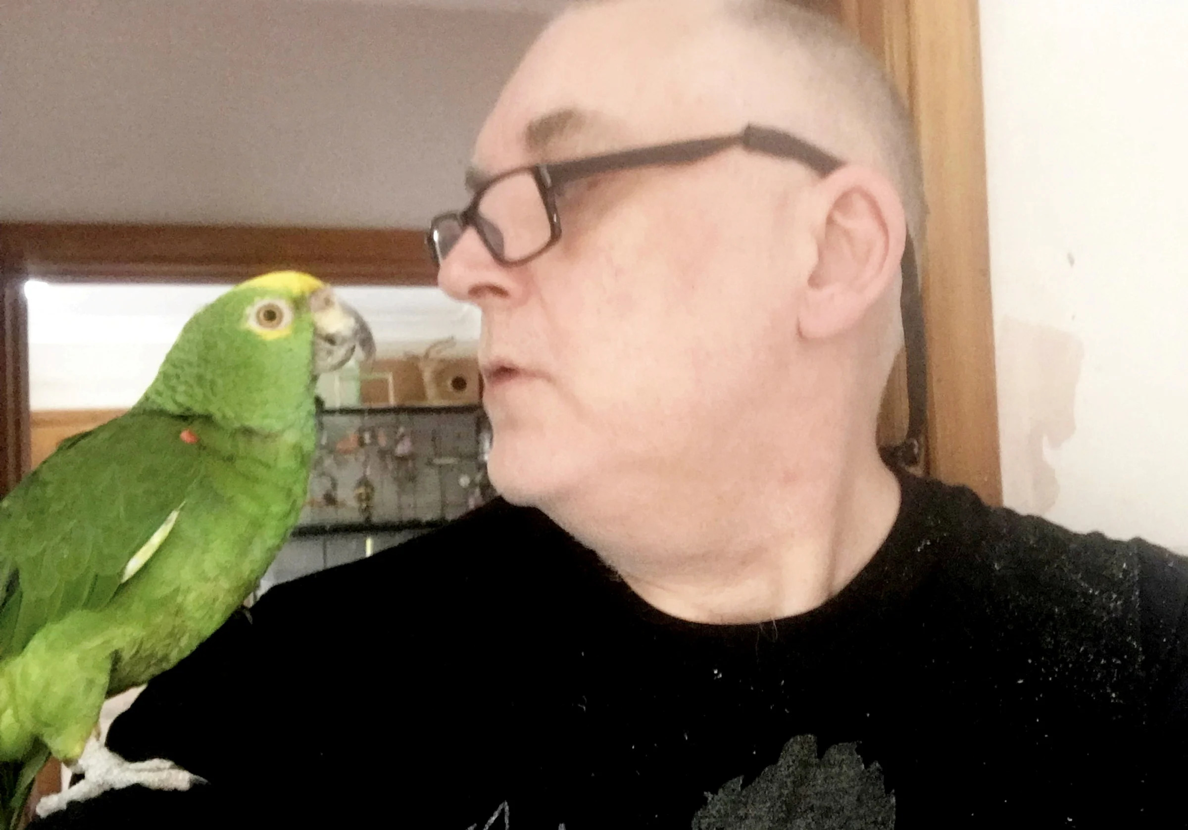 Steve Wood with his parrot Freddie. (Steve Wood / SWNS)