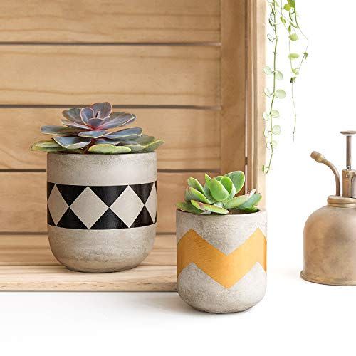 5) Mkono Cement Succulent Planter Set