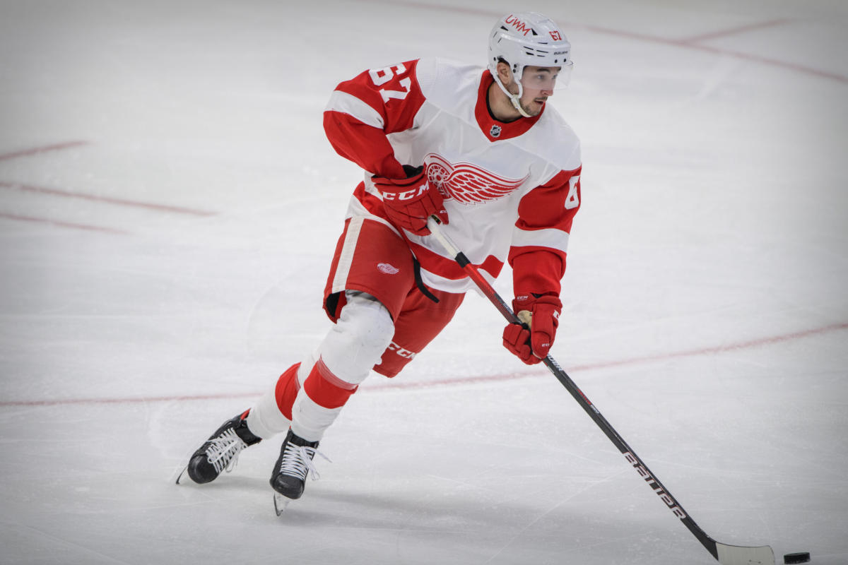 Red Wings' Taro Hirose: Ex-Spartan hopes to build on fast NHL start