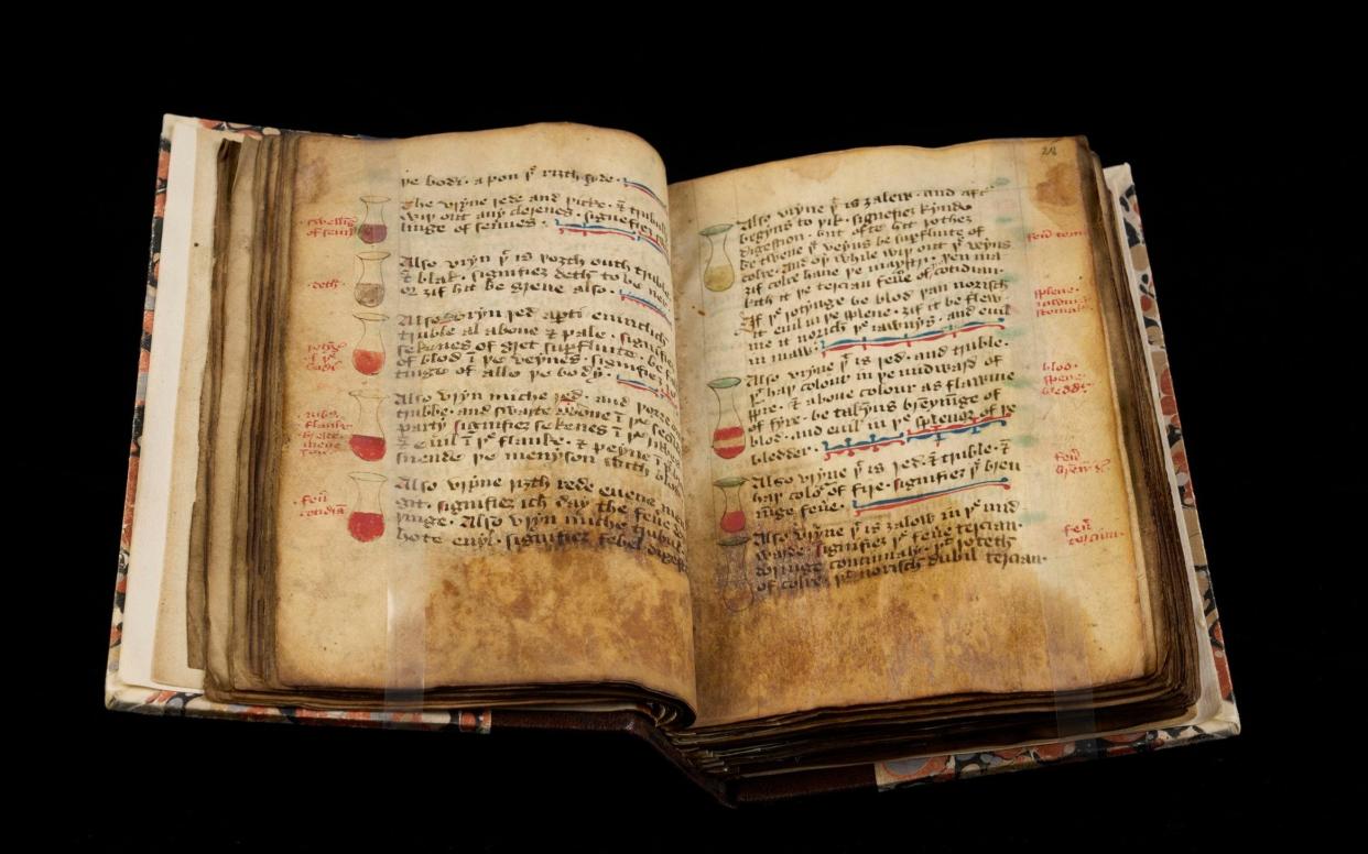 More than 180 medieval manuscripts are to be digitised, catalogued and conserved over the next two years as part of the Curious Cures in Cambridge Libraries project - Cambridge University Library /PA