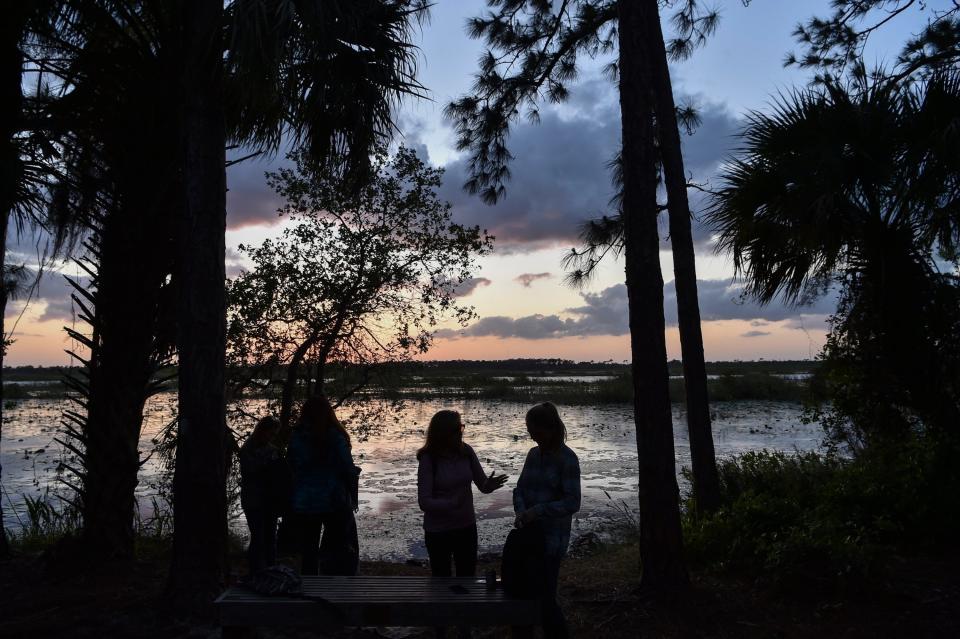 The natural beauty of the wetlands in Savannas Preserve State Park is illuminated by the setting sun in April 2021 at Hawk’s Bluff Trail in Jensen Beach.