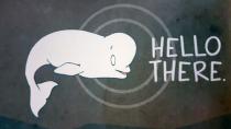 Baby beluga takes kids through Arctic journey in graphic novel about climate change