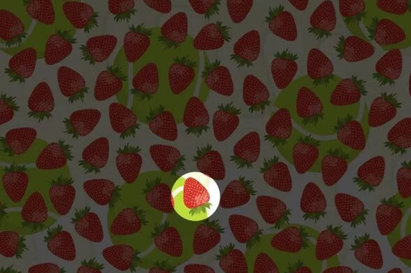 Solution to strawberry puzzle