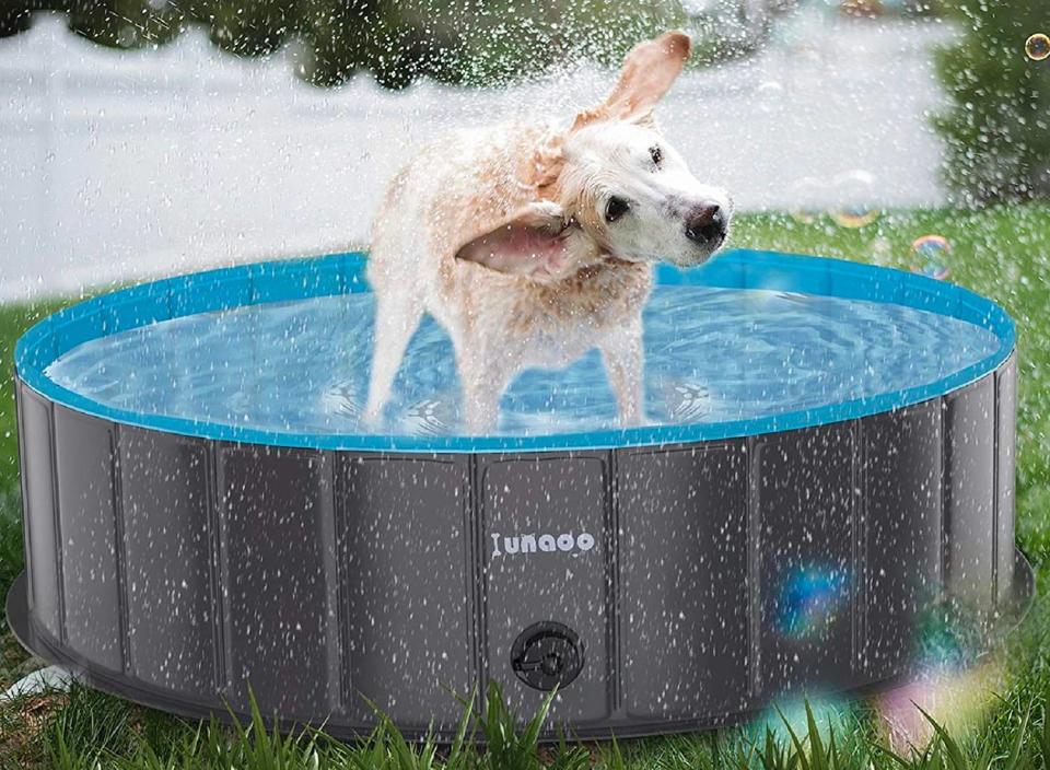 Your hot pooch will be thankful you got them this cooling pool for warmer days. (Source: Amazon)