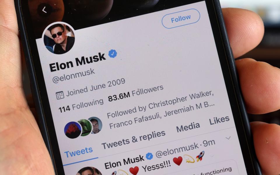 Seit dem Kauf durch Elon Musk verzeichnen vor allem Prominente starke Verluste ihrer Follower auf Twitter. (Bild: 2022 Getty Images/Scott Olson)