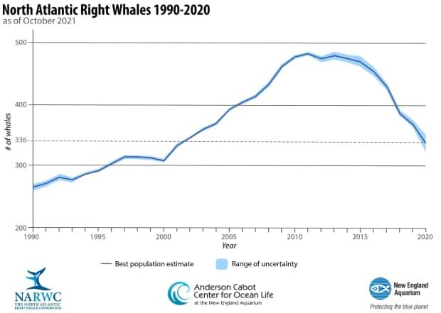 The North Atlantic Right Whale Consortium