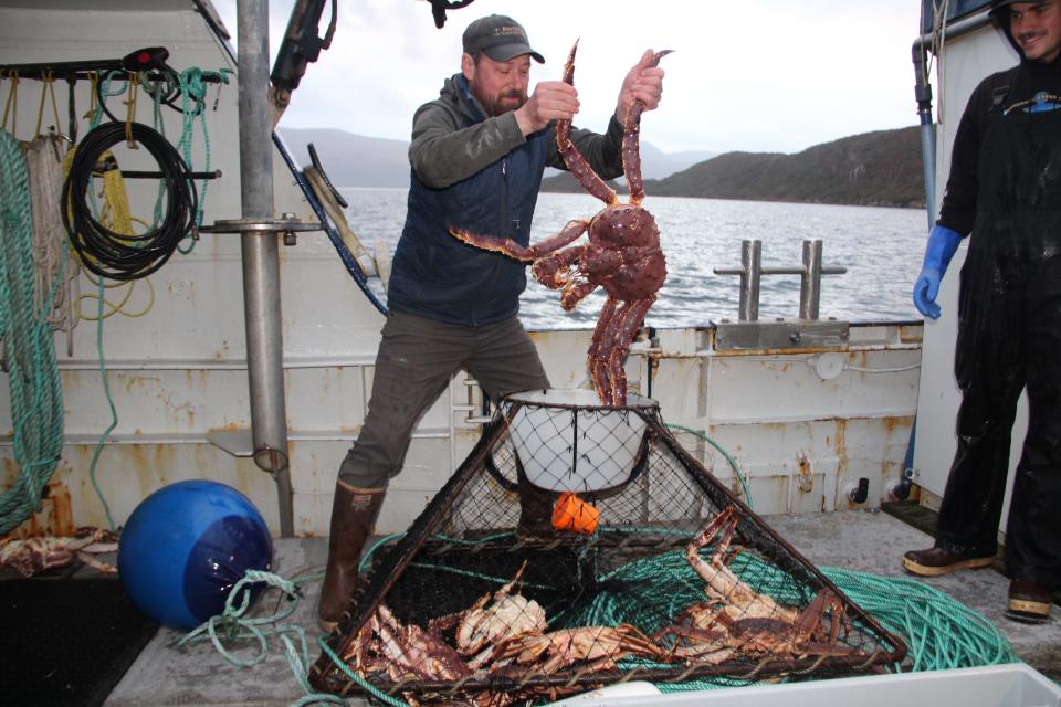 Zach Porter of Homer Ocean Charters sorts crabs caught during a fishing, hunting and crabbing trip along the coast of Kodiak Island, Alaska.