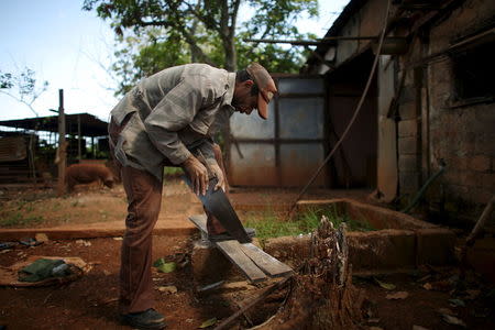 Farmer Enerildo Gonzales works in his ranch near San Antonio de los Banos village in Artemjsa province, Cuba, April 12, 2016. REUTERS/Alexandre Meneghini