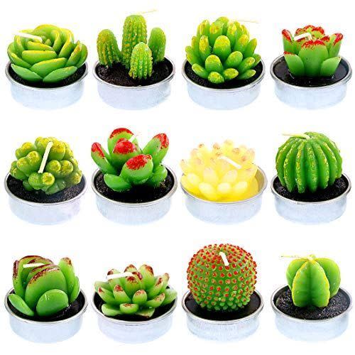 13) Succulent Tea Lights