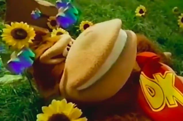 Donkey Kong lays in a field of sunflowers with N's around his head