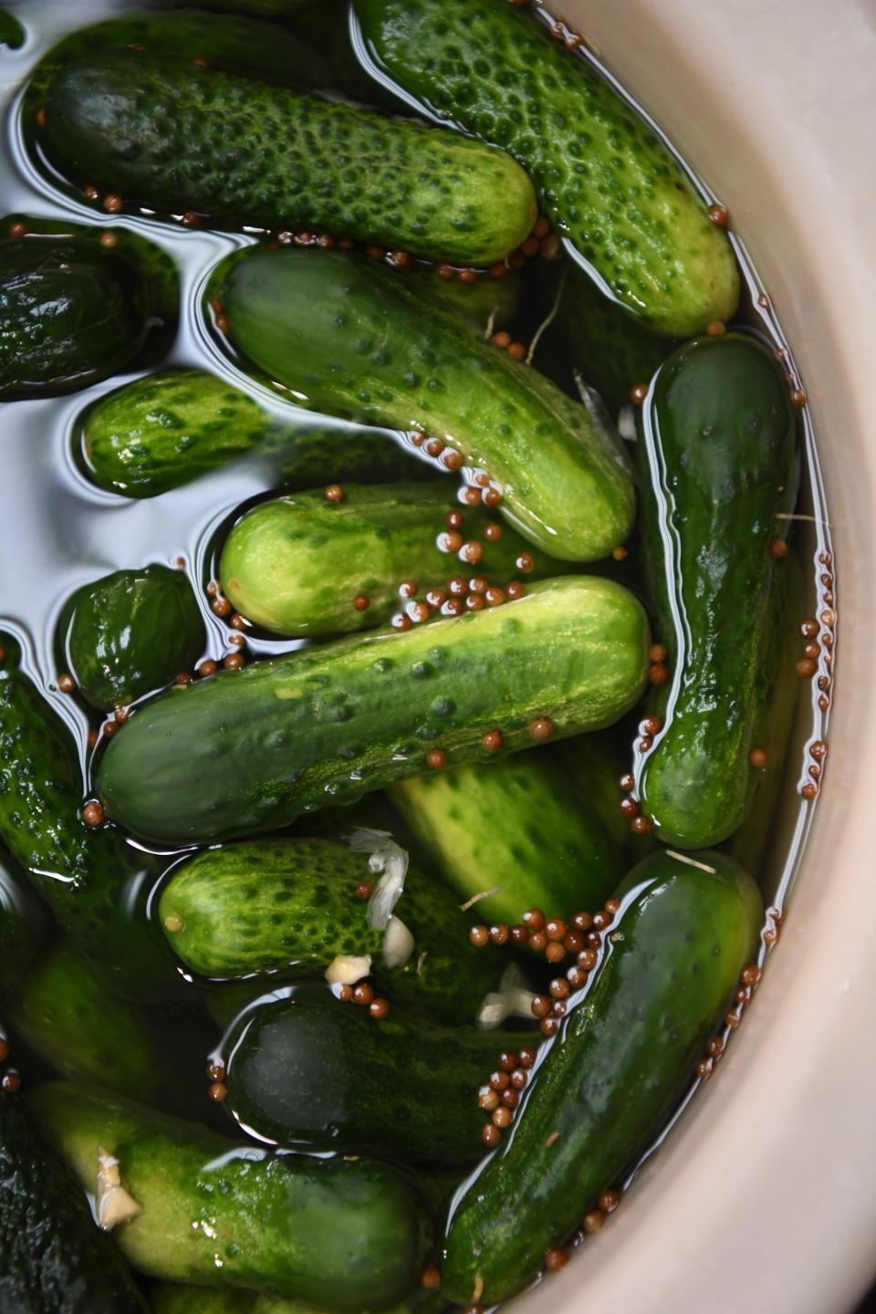 Pickle Wars come to Jungle Jim's this weekend.