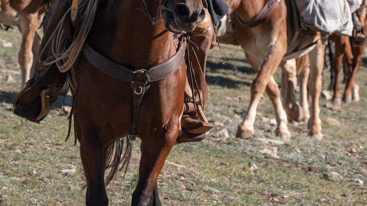 a man riding a horse