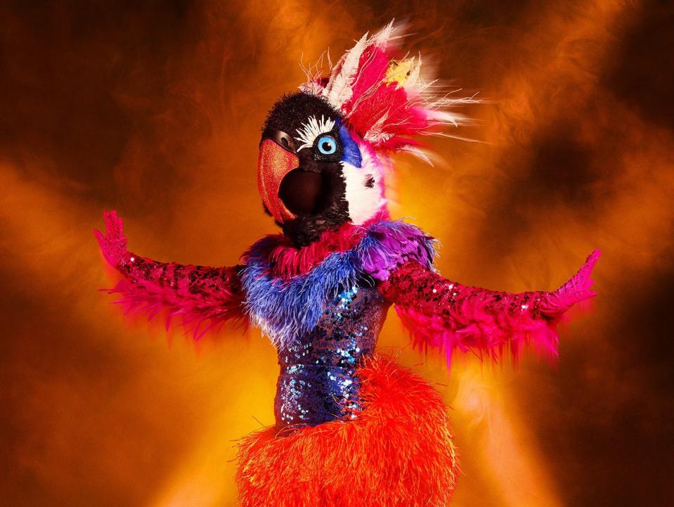 exotic bird masked dancer