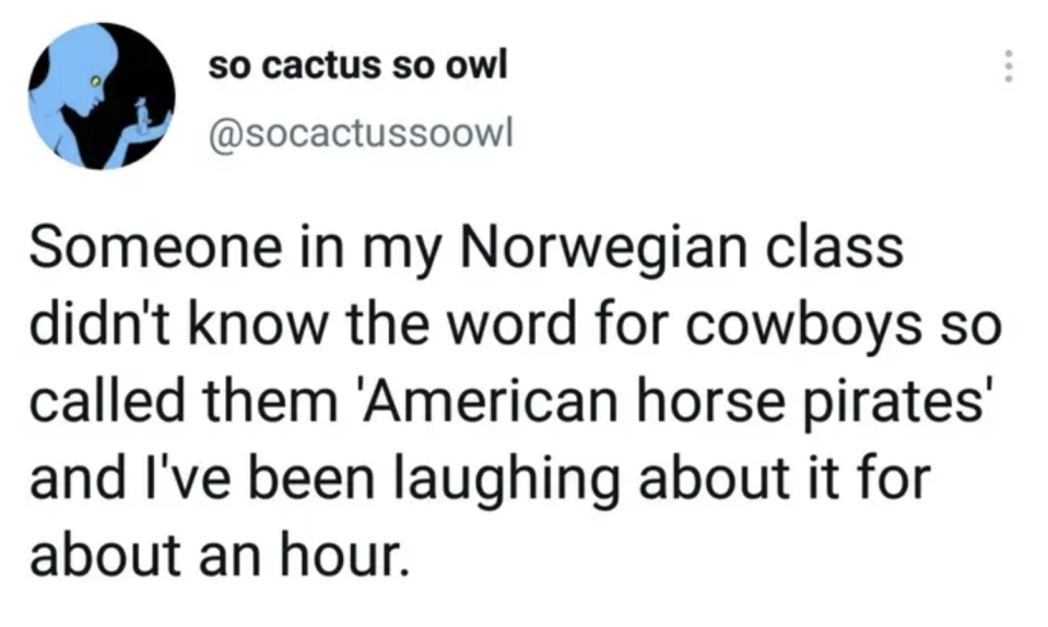 tweet reading someone in my norwegian class didn't know the word for cowboys so called them american horse pirates
