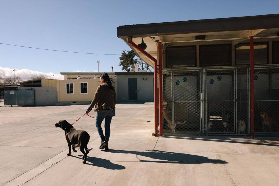 Rita Earl Blackwell walks a dog on a leash to a play yard.