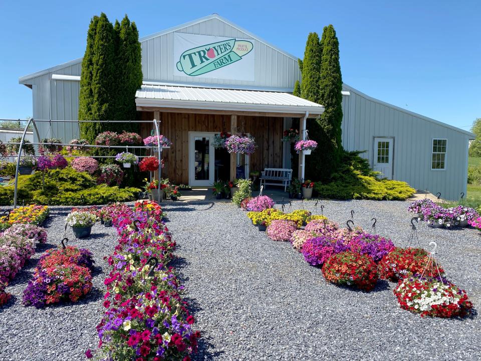 The strawberry crop was decimated at Troyer's Farm outside of Waynesboro after a hail storm hit the area April 26, 2022.