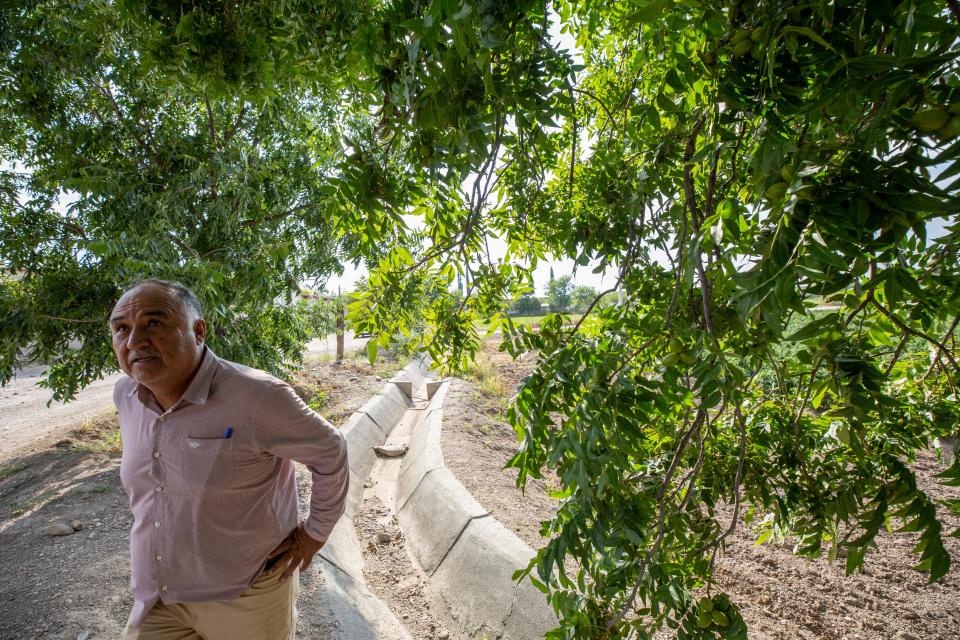 Jaime Ramírez Carrasco, presidente municipal de San Francisco de Conchos, de pie bajo un nogal en agosto de 2023. A su lado, un canal de riego revestido de concreto transporta agua.