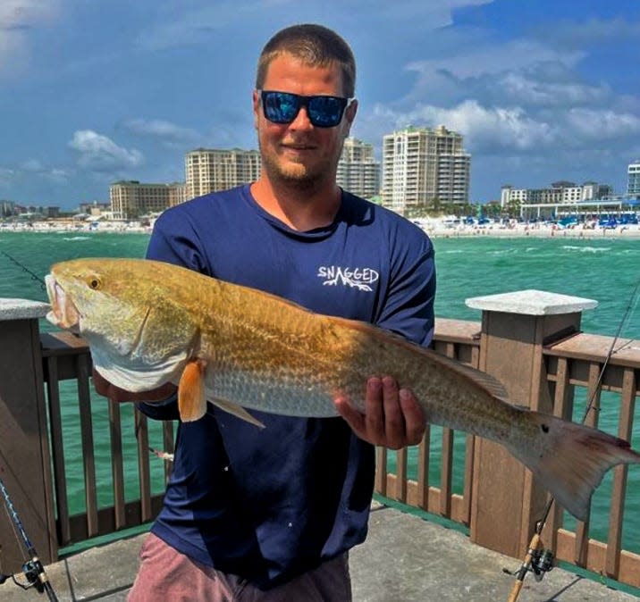 Cody Latner of Seminole caught this 30-inch redfish while fishing at Big Pier 60 in Clearwater this past weekend. 