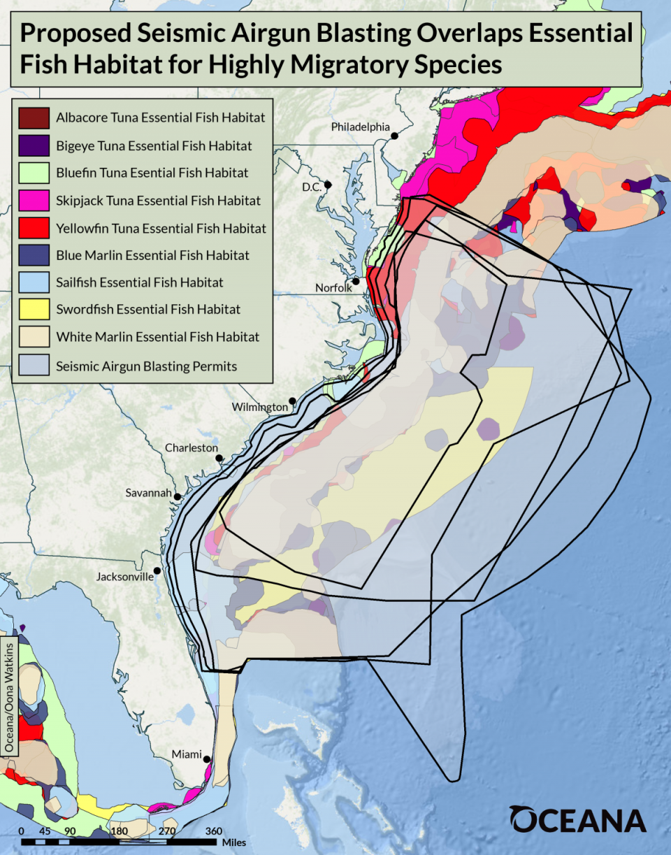 Proposed seismic testing areas overlap essential fish habitat for migratory species, according to Oceana.