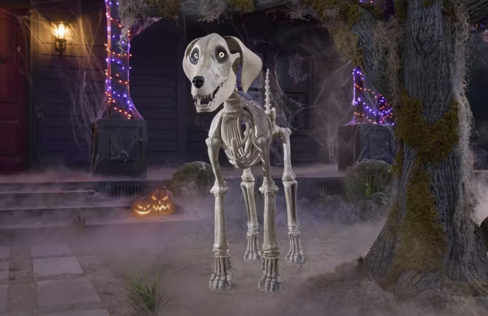 Skelly's Dog in a smoky Halloween setting.