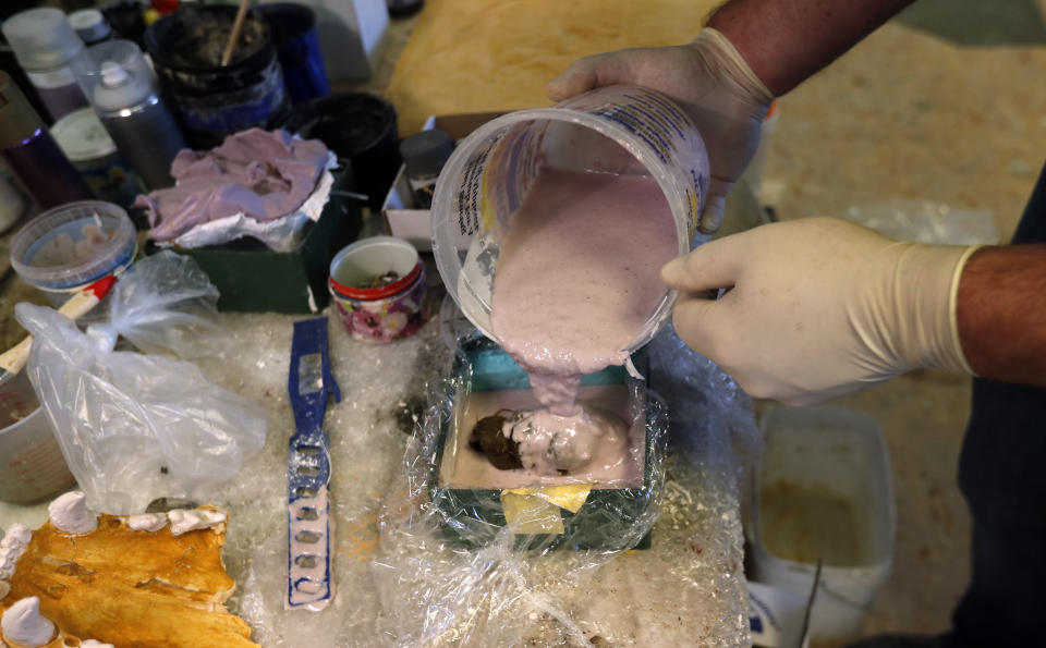Vlastimil Sloup makes a plaster cast out of gorilla feces for an exhibition of animal excrements at the Prague Zoo, Czech Republic, Tuesday, May 7, 2019. The park has opened a new permanent exhibition that put on display wide range of animal feces. Placed on the outside walls of a new building with toilets, the exhibition offers information and samples from fossil turds, also known as coprolites, to the excrements of current animals of various size, shape, texture and color. (AP Photo/Petr David Josek)