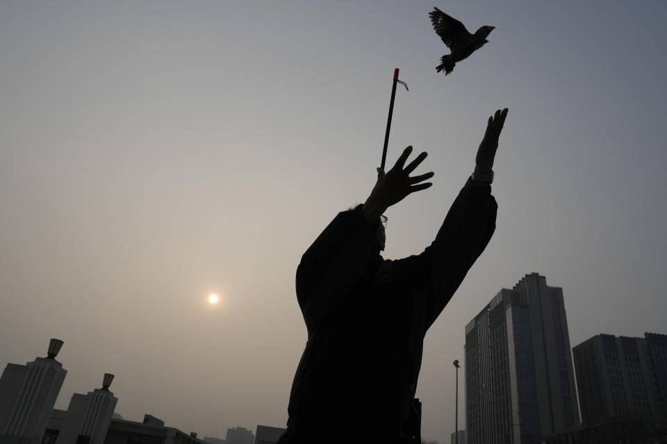 A man throws a bird up as he shoots a bead through a tube for it to catch in mid-air, practising a Beijing tradition that dates back to the Qing Dynasty, outside a stadium in Beijing, Tuesday, March 26, 2024. Today, only about 50-60 people in Beijing are believed to still practice it. (AP Photo/Ng Han Guan)