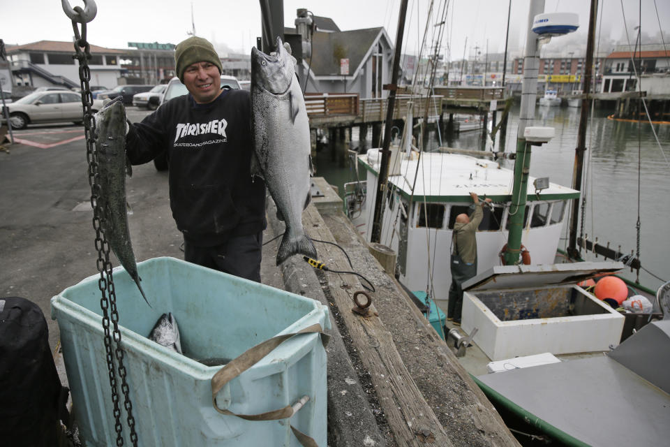 In this photo taken Monday, July 22, 2019, Ivan Montoya, left, of Flannery Seafood, holds up chinook salmon after it was brought in by Ron Kemp, right, at Fisherman's Wharf in San Francisco. California fishermen are reporting one of the best salmon fishing seasons in more than a decade, thanks to heavy rain and snow that ended the state's historic drought. It's a sharp reversal for chinook salmon, also known as king salmon, an iconic fish that helps sustain many Pacific Coast fishing communities.(AP Photo/Eric Risberg)