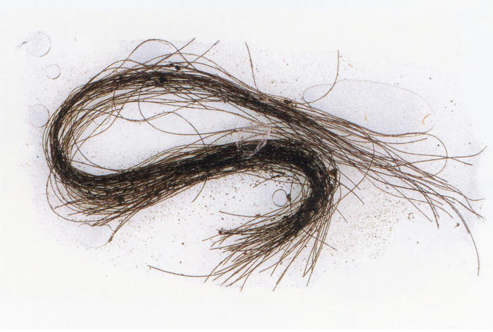 Ancient strands of human hair.