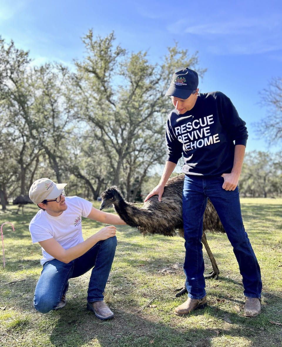 Winding Branch Ranch co-founders Matthew Aversa, left, and his husband, Tim Kessler, appear with an emu on their Winding Branch Ranch in Bulverde, Texas on Dec. 6, 2023. (Morgan Arbo via AP)