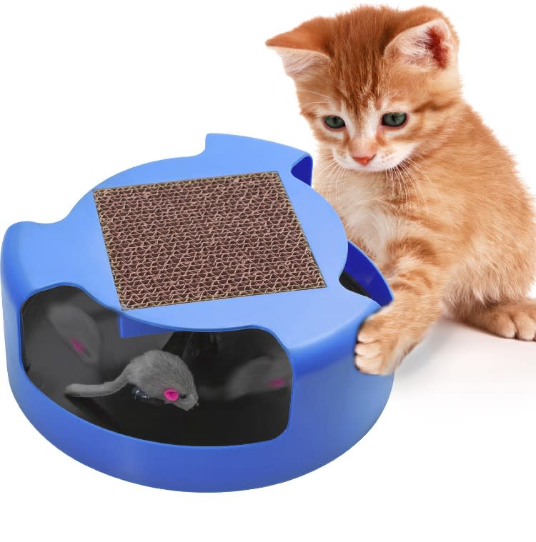 Cat Mouse Play Toy with Scratching Post Pad for Pup Animal Interactive Training. (Photo: Ebay)