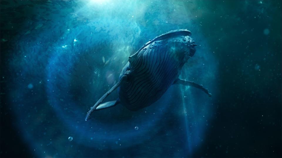 In der Serie "Der Schwarm" werden Wale zur großen Bedrohung für die Menschheit. "Der Schwarm - Die Doku" ergründet, wie gefährlich die Tiere wirklich sind. (Bild: ZDF / Julian Balducci / Gruppe 5)