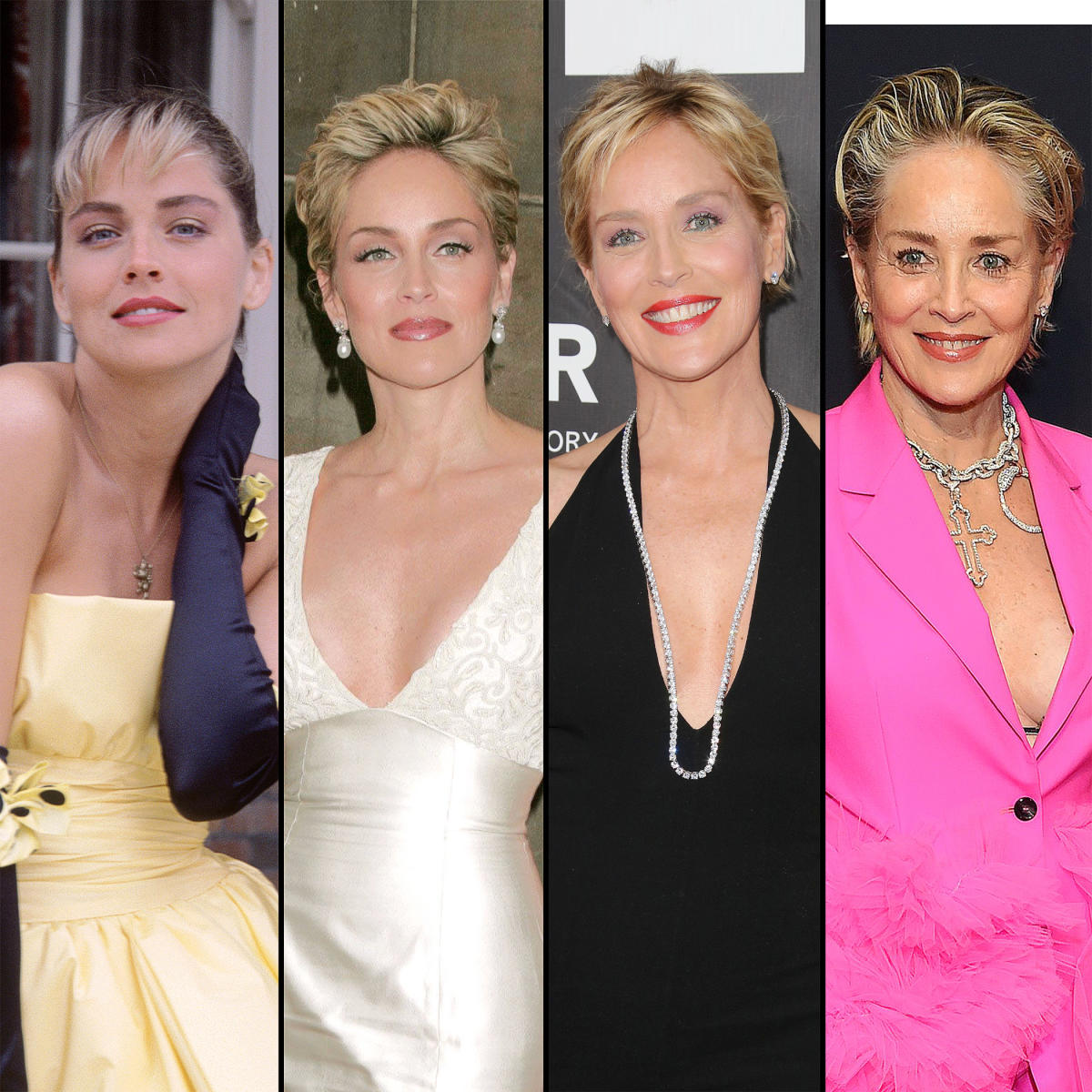 Has Sharon Stone Undergone Plastic Surgery Her Transformation What