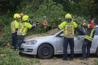 Firefighters cut a tree lying on the roof of a parked car in Wernigerode, Germany, Thursday, Nov. 2, 2023. Recording-breaking winds in France and across much of western Europe left at least five people dead and injured several others. (Matthias Bein/dpa via AP)