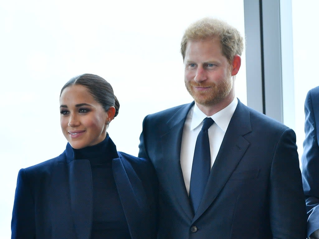 The Duke and Duchess of Sussex have been outspoken about the importance of vaccine equity (Getty Images)