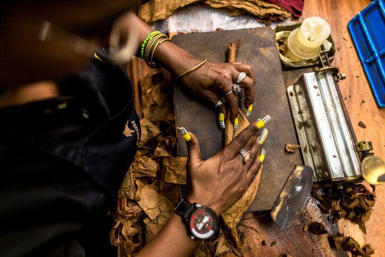 Making cigars at El Liguito (Alamy Stock Photo)