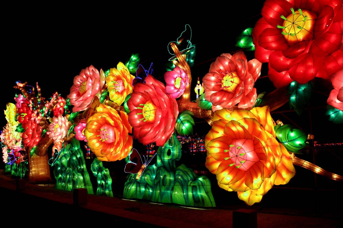 These flowers will be featured in the GloWild festival at the Kansas City Zoo.