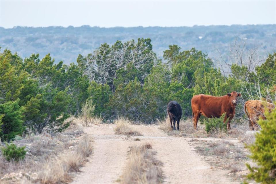 The property was historically used for livestock ranching. Traeger Fuhrmann